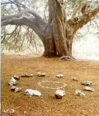 Evolution is a one way direction.